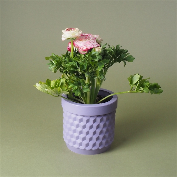 Potts flowerpot Lavender