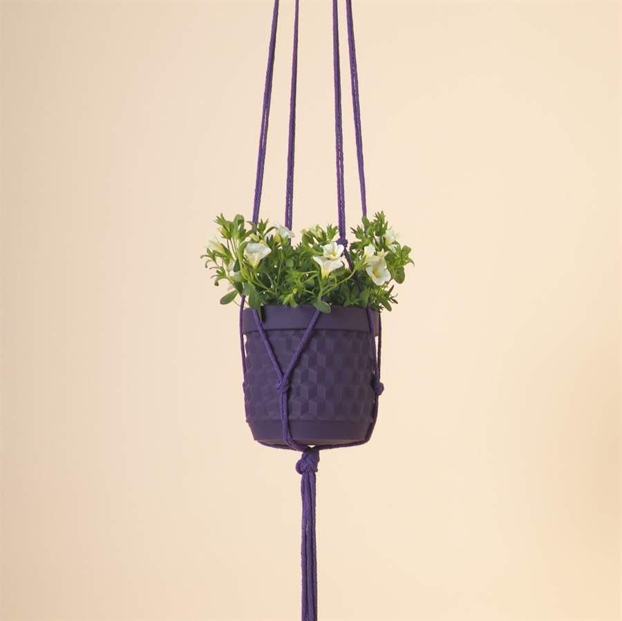 Plant hanger 120 cm. Deep purple