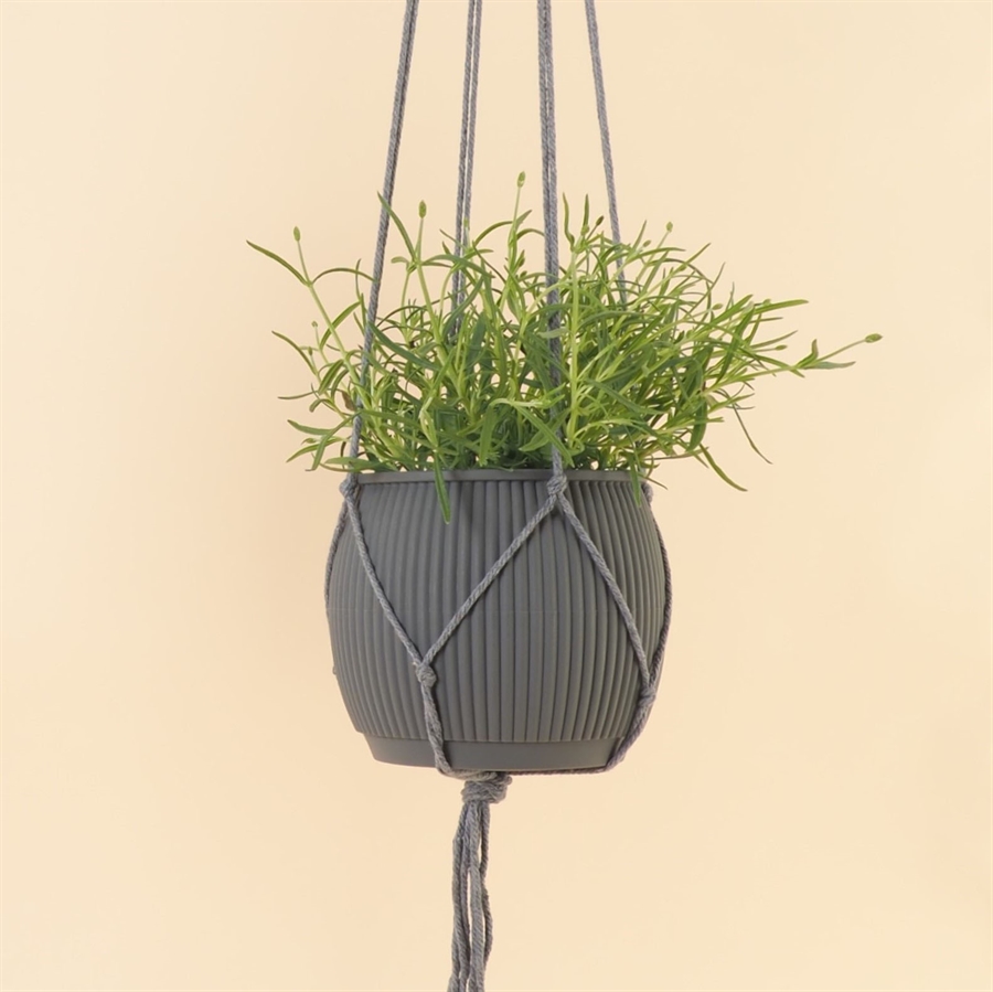 Plant hanger 120 cm. Grey